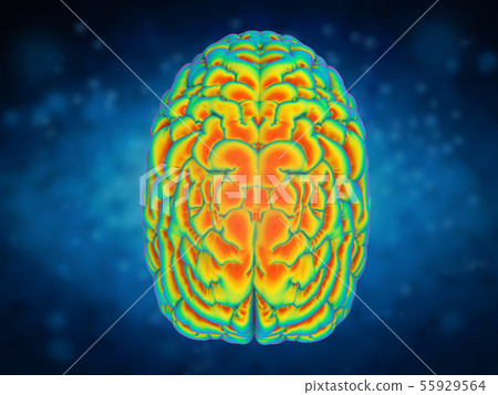 brain power concept brain power concept 55929564