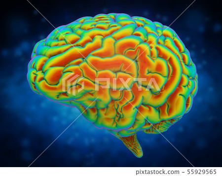 brain power concept brain power concept 55929565