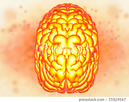 brain power concept brain power concept 55929567