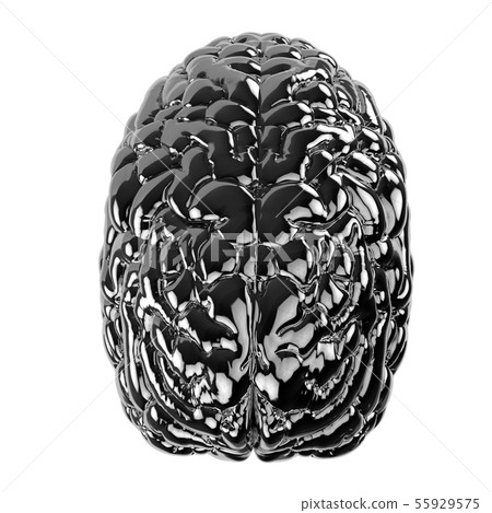 black human brain black human brain 55929575