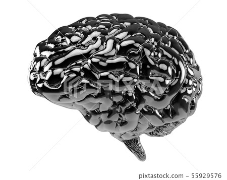 black human brain black human brain 55929576