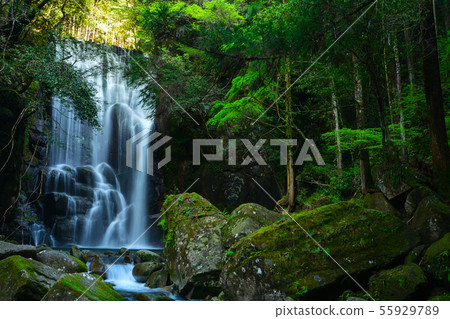 Fresh green Kuwanoki waterfall Fresh green Kuwanoki waterfall 55929789