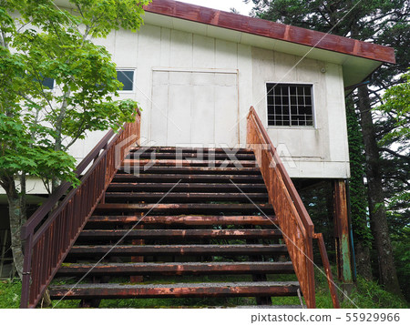 Abandoned house 55929966