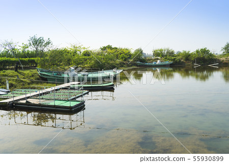 台南七股濕地魚塭 台南七股濕地魚塭 55930899