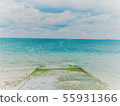 Sea Road 55931366