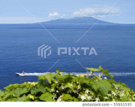 Miyakejima in midsummer 55931535