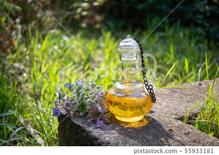 A bottle of borage oil with blooming borage plant 55933181