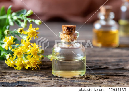 A bottle of essential oil with European goldenrod 55933185
