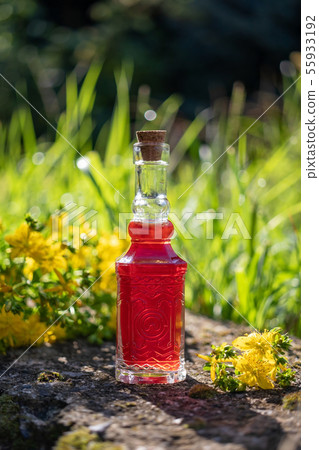 A bottle of red oil made from St. John's wort A bottle of red oil made from St. John's wort 55933192
