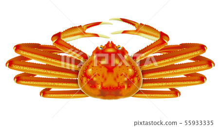 雪蟹 55933335
