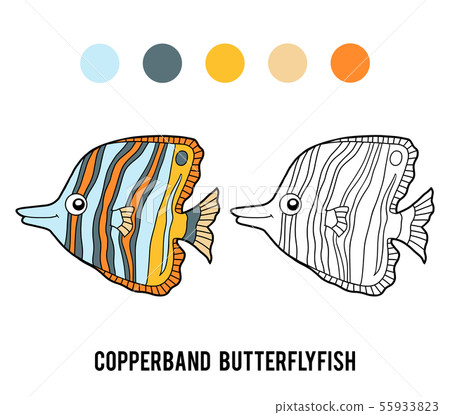 Coloring book, Copperband butterflyfish 55933823