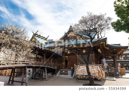 Yushima Tenmangu Yushima Tenjin Ume Festival (Bunkyo-ku, Tokyo) February 2019 55934399