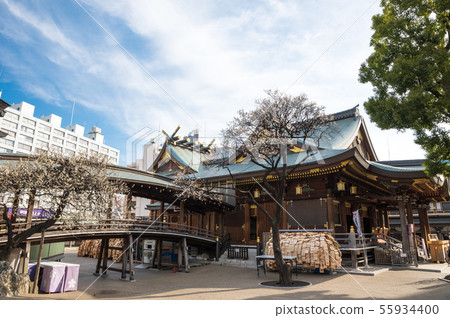 Yushima Tenmangu Yushima Tenjin Ume Festival（東京都文京區）2019年2月 55934400