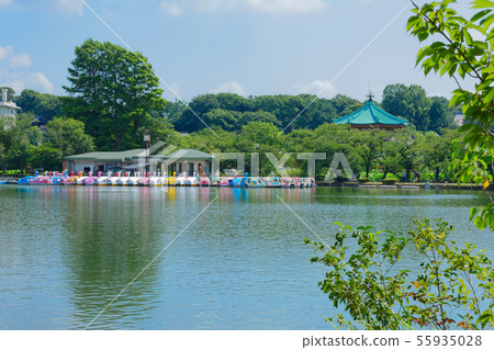 上野Shinobazu池塘休閒船和Benzaiten 55935028