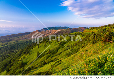 (群馬縣)Yoshigadaira和Kusatsu-Shirane山在夏天 (群馬縣)Yoshigadaira和Kusatsu-Shirane山在夏天 55935736