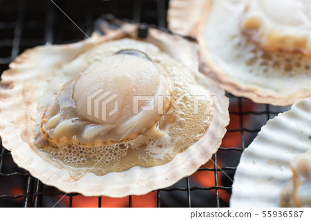 Scalloped barbecue 55936587