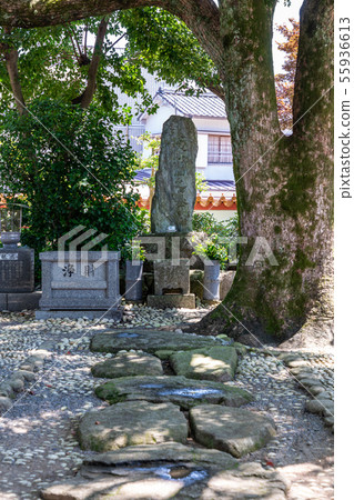 徐福墓古旭公園 55936613