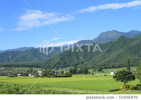 Azumino夏天在北阿爾卑斯山 55936970