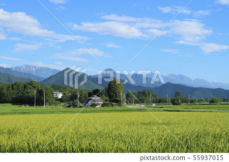 Azumino夏天在北阿爾卑斯山 Azumino夏天在北阿爾卑斯山 55937015
