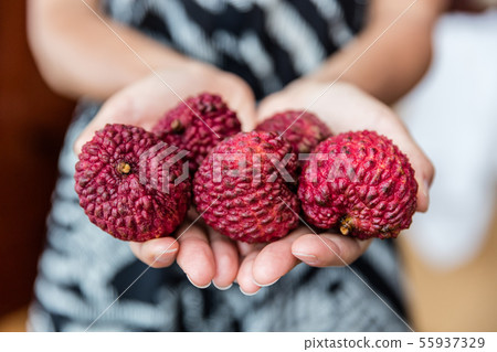 Lychee fruit closeup of hands holding asian fruits 55937329
