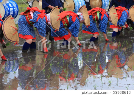 Kitahiroshima Town, Hiroshima Prefecture Harato Ohanada Ue Saotome Kitahiroshima Town, Hiroshima Prefecture Harato Ohanada Ue Saotome 55938613