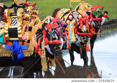 廣島縣北廣島町 55938619