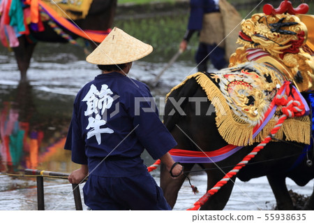 Kitahiroshima-cho, Hiroshima Prefecture Kitahiroshima-cho, Hiroshima Prefecture 55938635