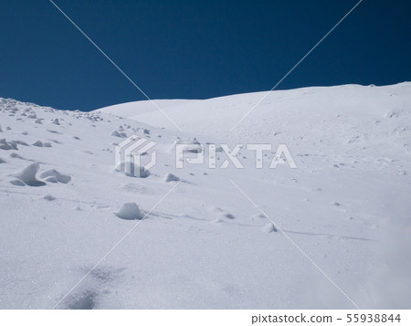 snow on the floor reflect sunlight in sunny day snow on the floor reflect sunlight in sunny day 55938844