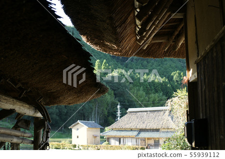 四季步行秋季 四季步行秋季 55939112