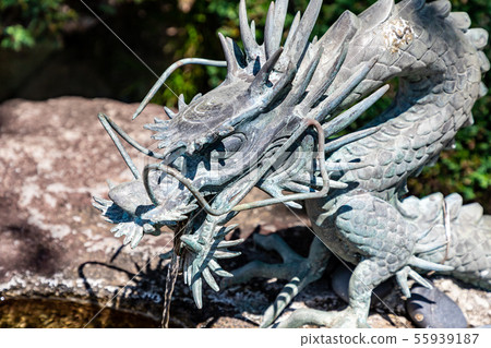 Dragon dragon in a hand basin Dragon dragon in a hand basin 55939187