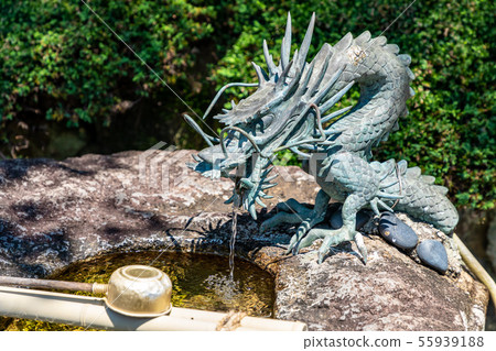 Dragon dragon in a hand basin Dragon dragon in a hand basin 55939188
