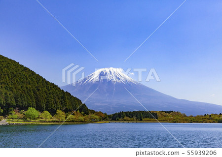 靜岡縣富士宮市的Tanuki湖富士山 靜岡縣富士宮市的Tanuki湖富士山 55939206