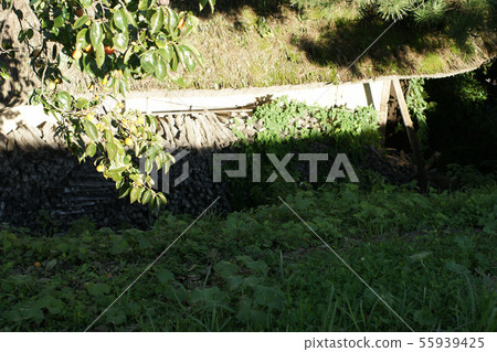 Four Seasons Walk Autumn 55939425