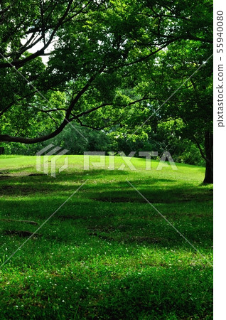 世博園區 55940080