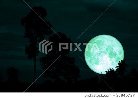 green sturgeon moon on the night red sky back green sturgeon moon on the night red sky back 55940757