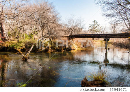 Nikko City, Tochigi Prefecture, Autumn Field at Senjogahara, Okunikko Wetlands, Yukawa 55941671