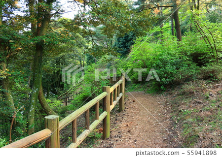 班加羅爾谷， 55941898