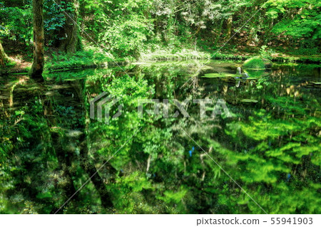 Yamabushi水源 Yamabushi水源 55941903