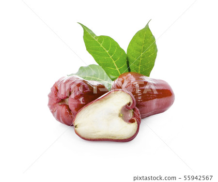 rose apple isolated on white background 55942567