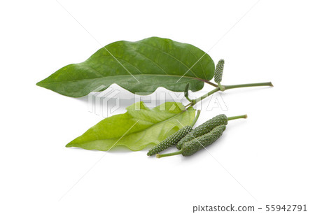 Long pepper isolated on white background 55942791
