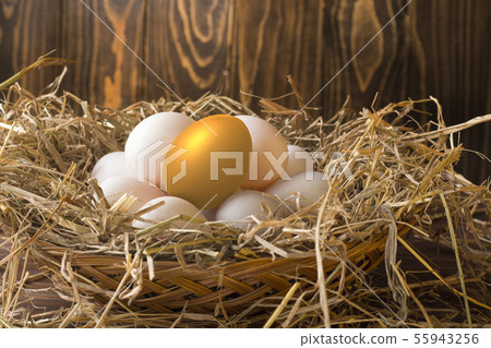 invest in gold egg , concept risk investment invest in gold egg , concept risk investment 55943256