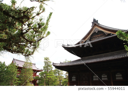 Myoshinji Temple, under the roof, Ukyo-ku Hanazono, 55944011