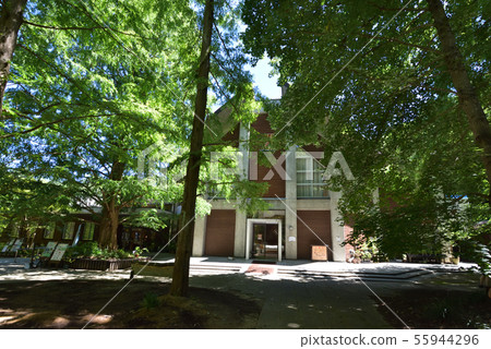 Kobe City Forest Botanical Garden Exhibition Center in the Forest 55944296