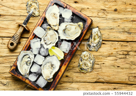 Raw opened oyster Raw opened oyster 55944432