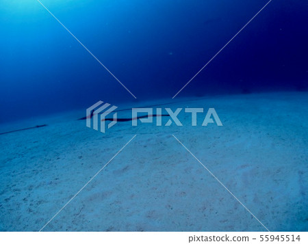 Sea of Knezu Island Sea of Knezu Island 55945514