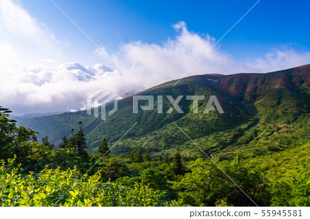 (Gunma Prefecture) Yoshigadaira, mountain range seen from Shiga Kusatsu Road, Yamada Pass 55945581