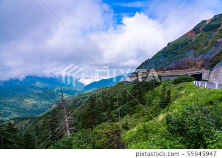 (長野縣)志賀高原和橫手山周圍的夏日風景 (長野縣)志賀高原和橫手山周圍的夏日風景 55945947