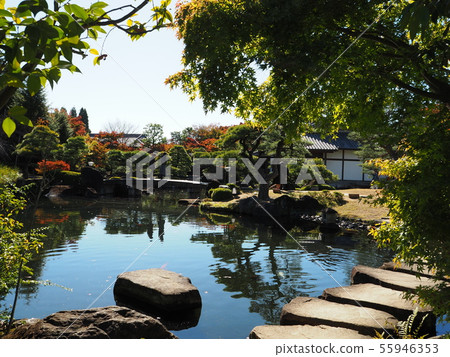 深秋花園（兵庫縣姬路市Kokoen） 55946353