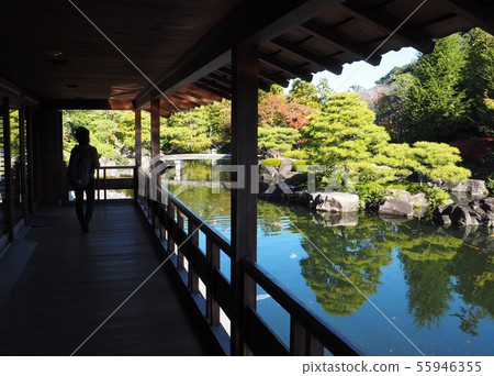 Late autumn garden (Kokoen, Himeji City, Hyogo Prefecture) Late autumn garden (Kokoen, Himeji City, Hyogo Prefecture) 55946355