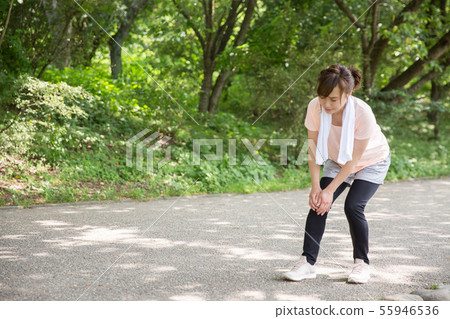 運動裝的女性 運動裝的女性 55946536